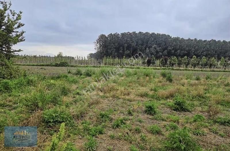 Kayalar Memduhiyede İmar Yakın 1.236 M2 Arazi