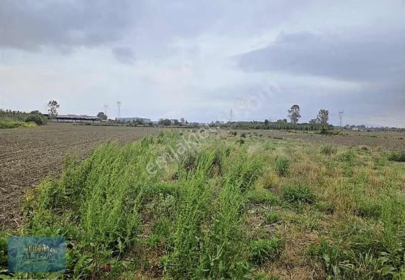 Kayalar Memduhiyede İmar Yakın 1.236 M2 Arazi - Görsel 3