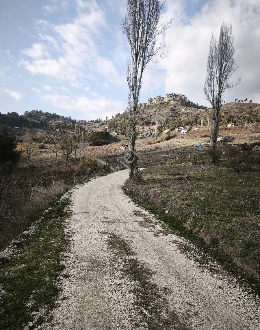 Böğrüeğride 1350m Tek Tapu Arsa - Görsel 4