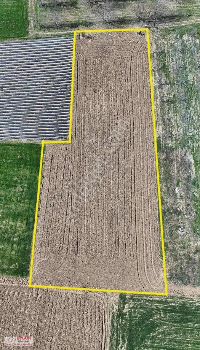 Küçük Yenice Satılık Tarla - Görsel 4