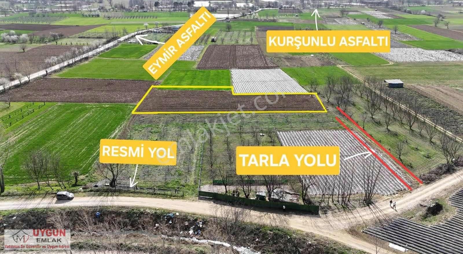 Küçük Yenice Satılık Tarla - Görsel 2