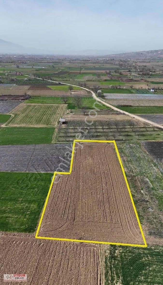 Küçük Yenice Satılık Tarla