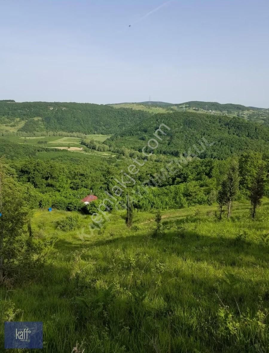 Kandıranın En Yeşil Bölgesinde Manzaralı Arazi - Görsel 2