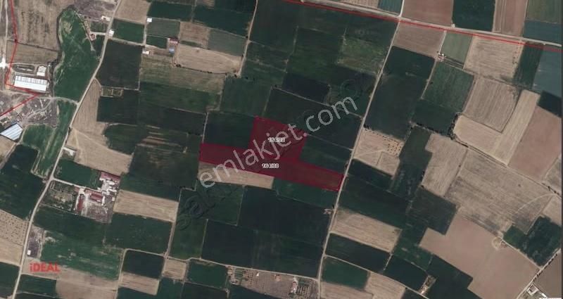 Geleceğe Ciddi Bir Yatırım ! Erenler' De Satılık 28.420 M2 Tarla - Görsel 5