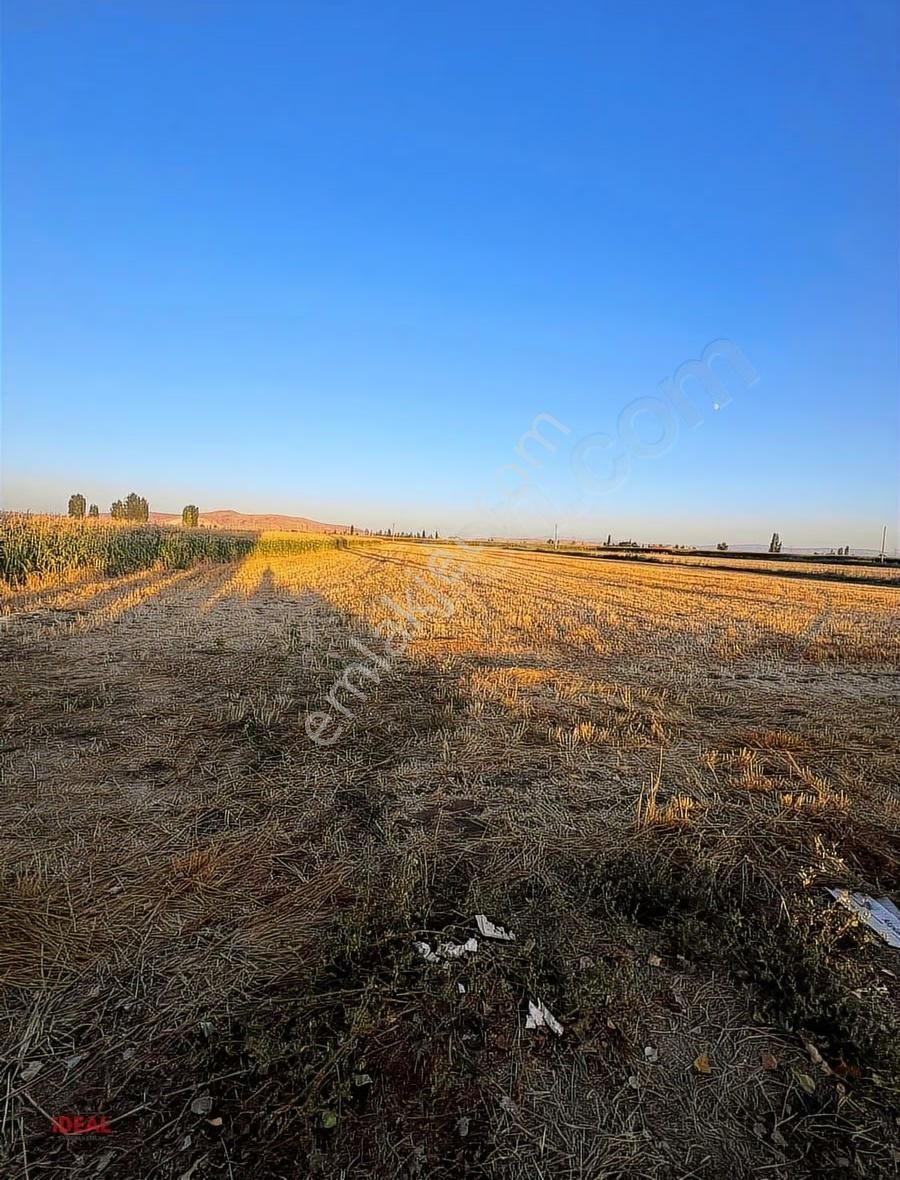Geleceğe Ciddi Bir Yatırım ! Erenler' De Satılık 28.420 M2 Tarla - Görsel 10