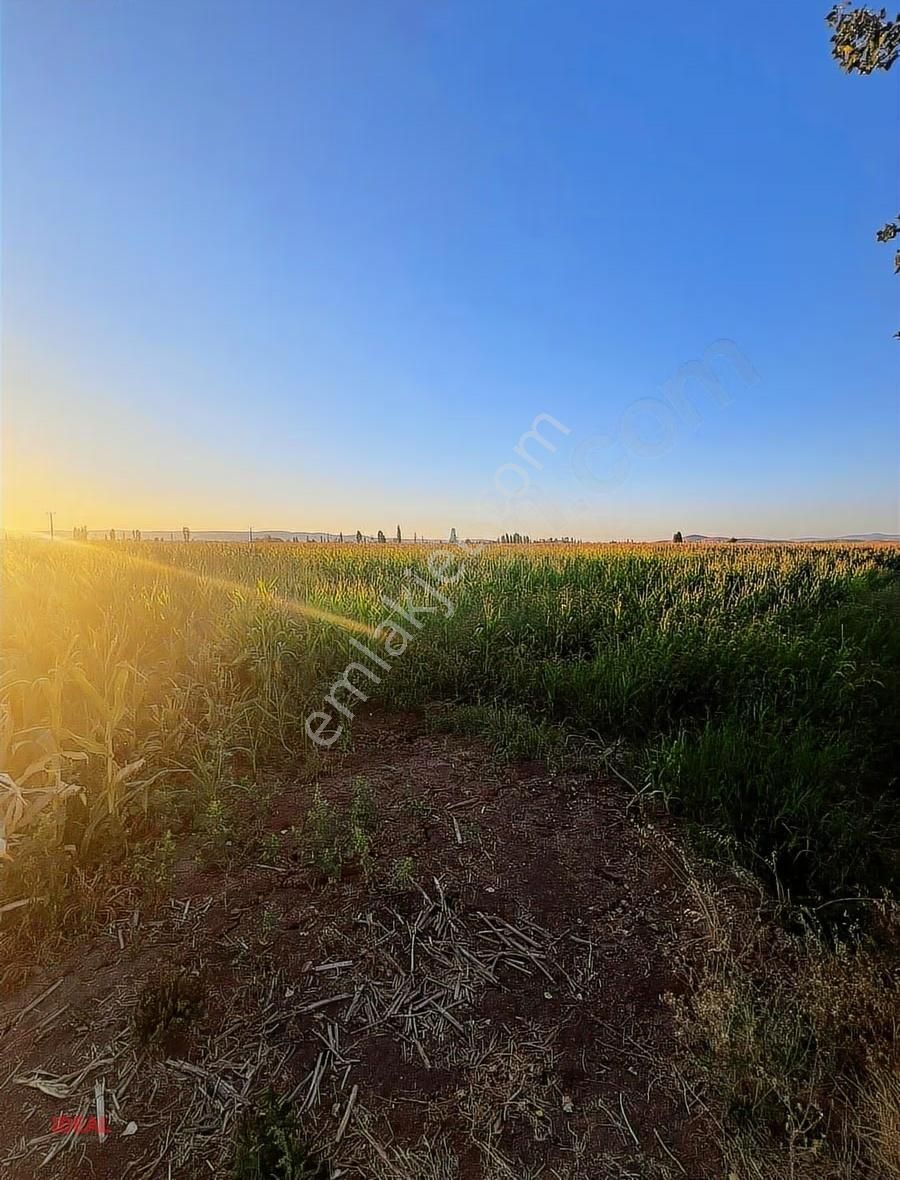 Geleceğe Ciddi Bir Yatırım ! Erenler' De Satılık 28.420 M2 Tarla - Görsel 3