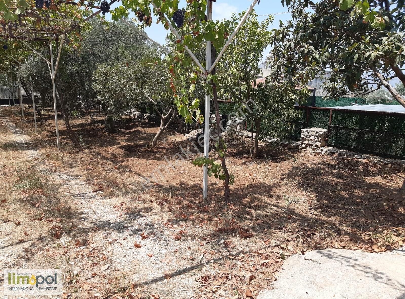 Limopol'den Esenköy Bademli'de 1100 M2 Arsa İçinde Müstakil Ev - Görsel 17