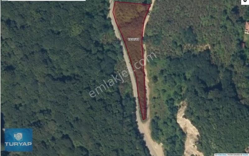 Ramazan Mah. Hoynatta Çaka Plajına Yakın Satılık 1.983 M2. Bahçe - Görsel 3