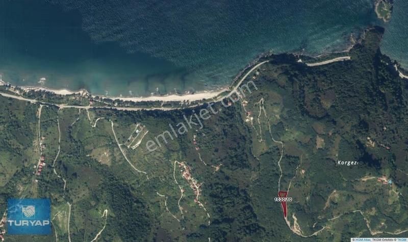 Ramazan Mah. Hoynatta Çaka Plajına Yakın Satılık 1.983 M2. Bahçe - Görsel 2