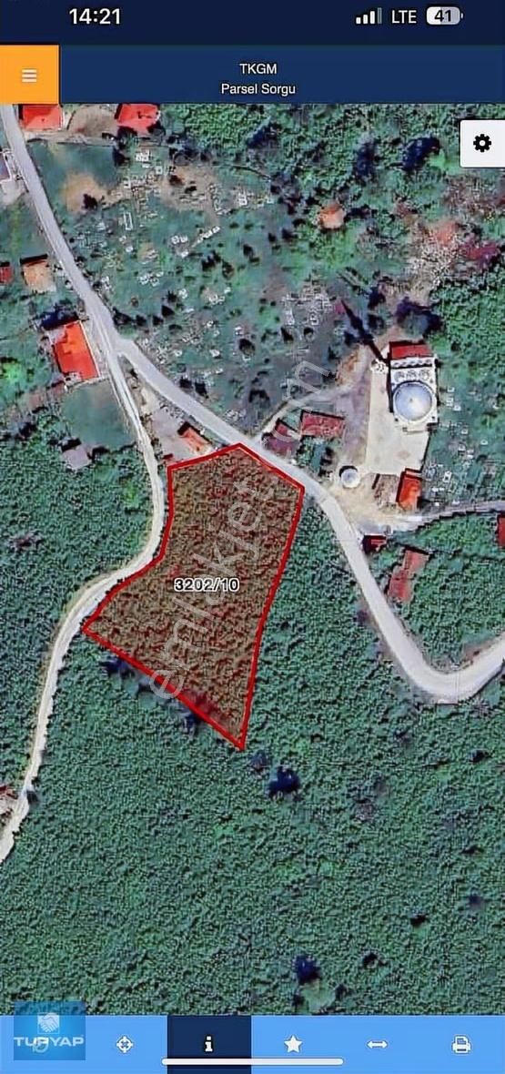 Ordu Altınordu Delikkaya'da Satılık Emsalsiz Bahçe - Görsel 4