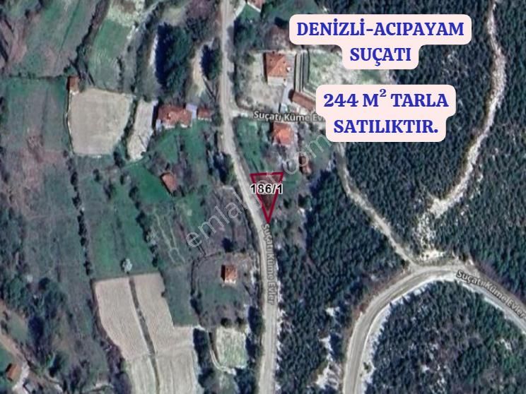 Denizli Acıpayam Suçatı Köyünde 244 M² Tarla Satılıktır - Görsel 2