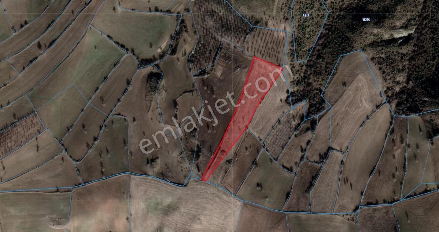 Keskin Emlak'tan Uygun Fiyatlı Yatırımlık Tek Tapu 7577m² Tarla - Görsel 9