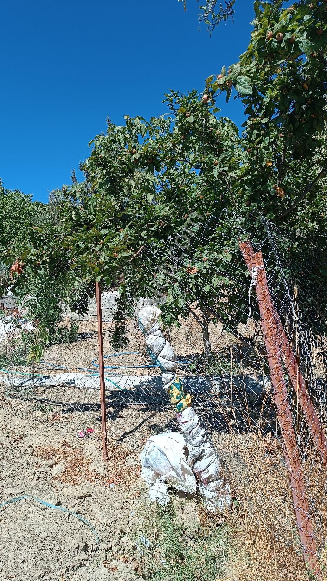 Wisrem Burdur'dan Satılık Hobi Bahçesi - Görsel 7