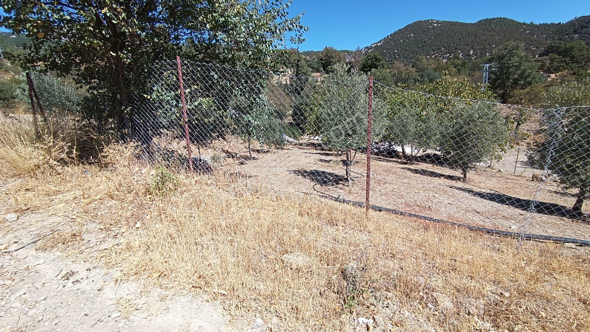 Wisrem Burdur'dan Satılık Hobi Bahçesi - Görsel 6