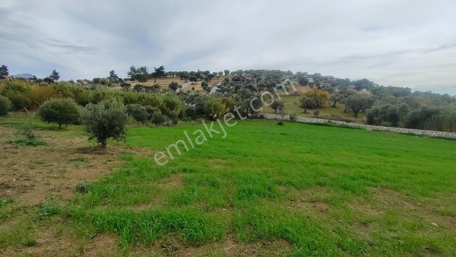 Kemalpaşa Vişneli'de 1+1evi Olan Yola Cepheli 5560 M2 Bağ-tarla - Görsel 11
