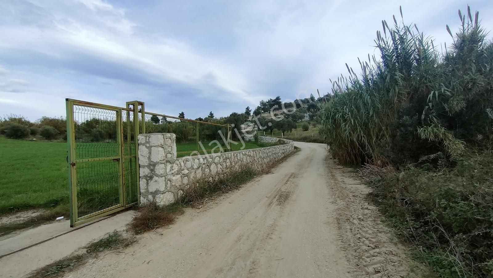Kemalpaşa Vişneli'de 1+1evi Olan Yola Cepheli 5560 M2 Bağ-tarla - Görsel 7