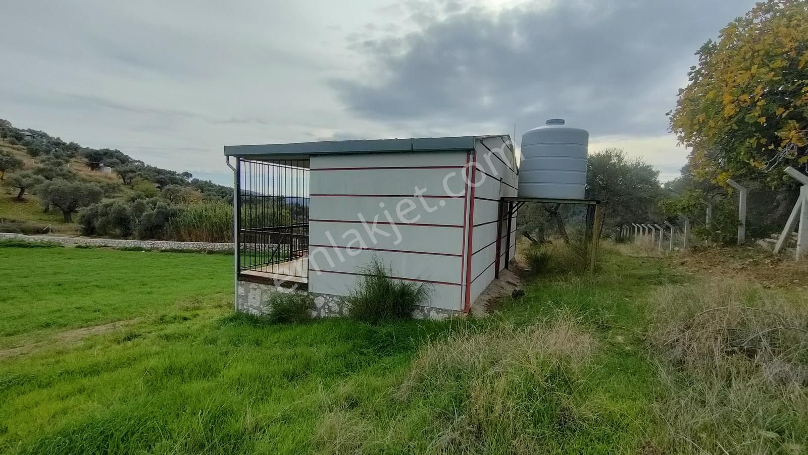 Kemalpaşa Vişneli'de 1+1evi Olan Yola Cepheli 5560 M2 Bağ-tarla - Görsel 3