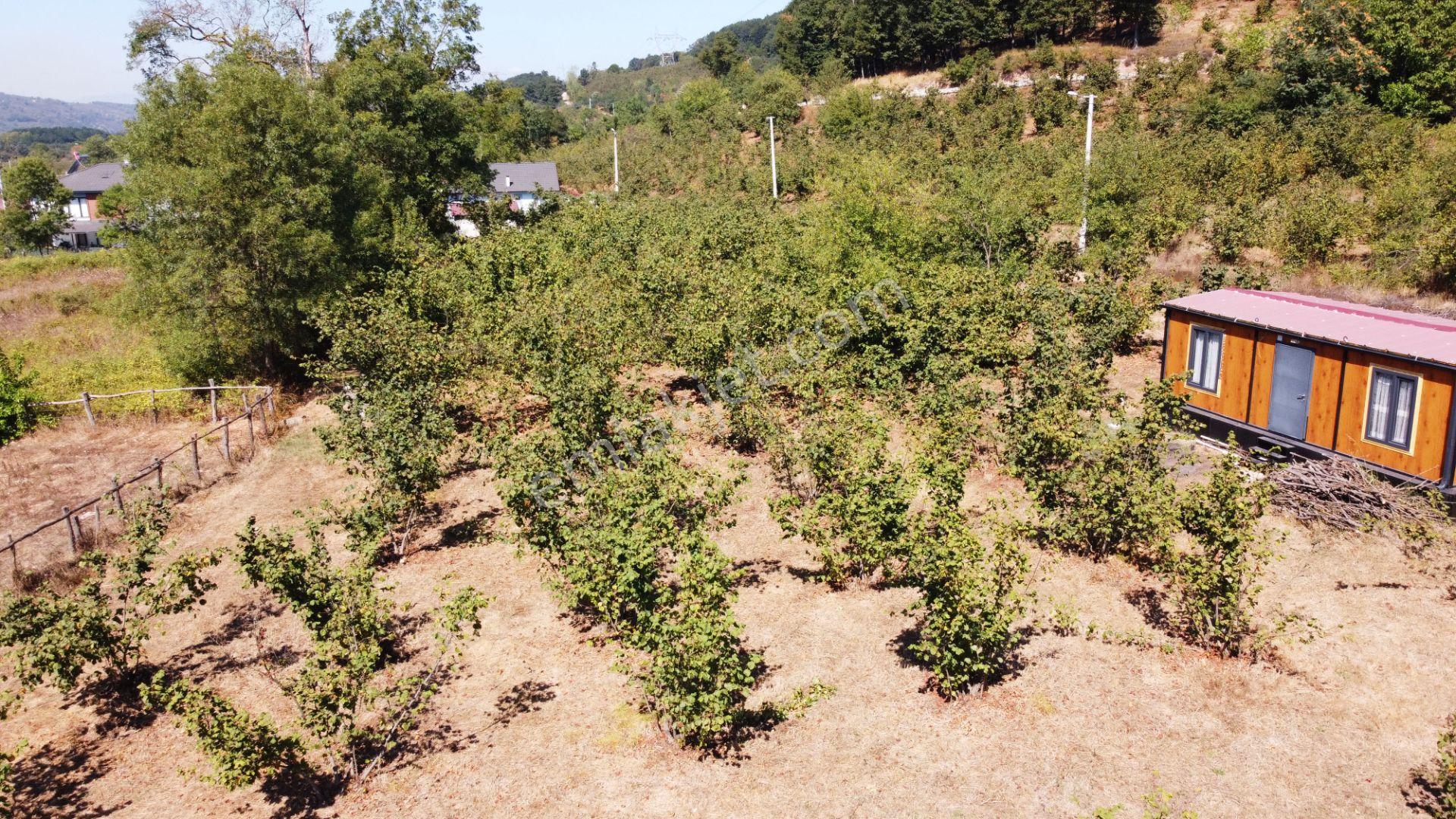 Kaynaşlı Sarıçökek Köyü'nde 707 M2 Satılık Arsa Ve Konteyner - Görsel 8