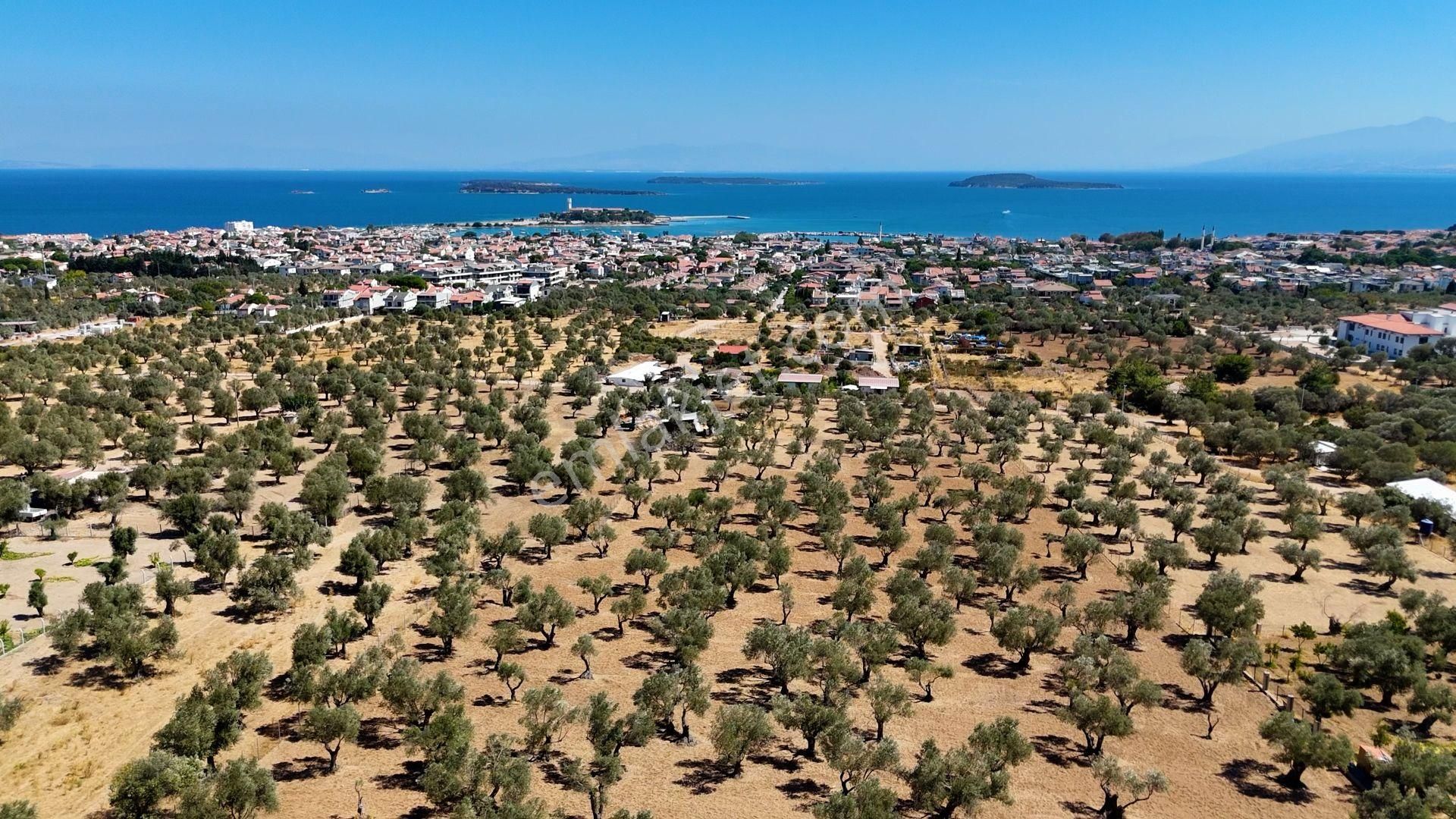 Keller Williams Ad Team'den Güvendikte Deniz Manzaralı - Görsel 7