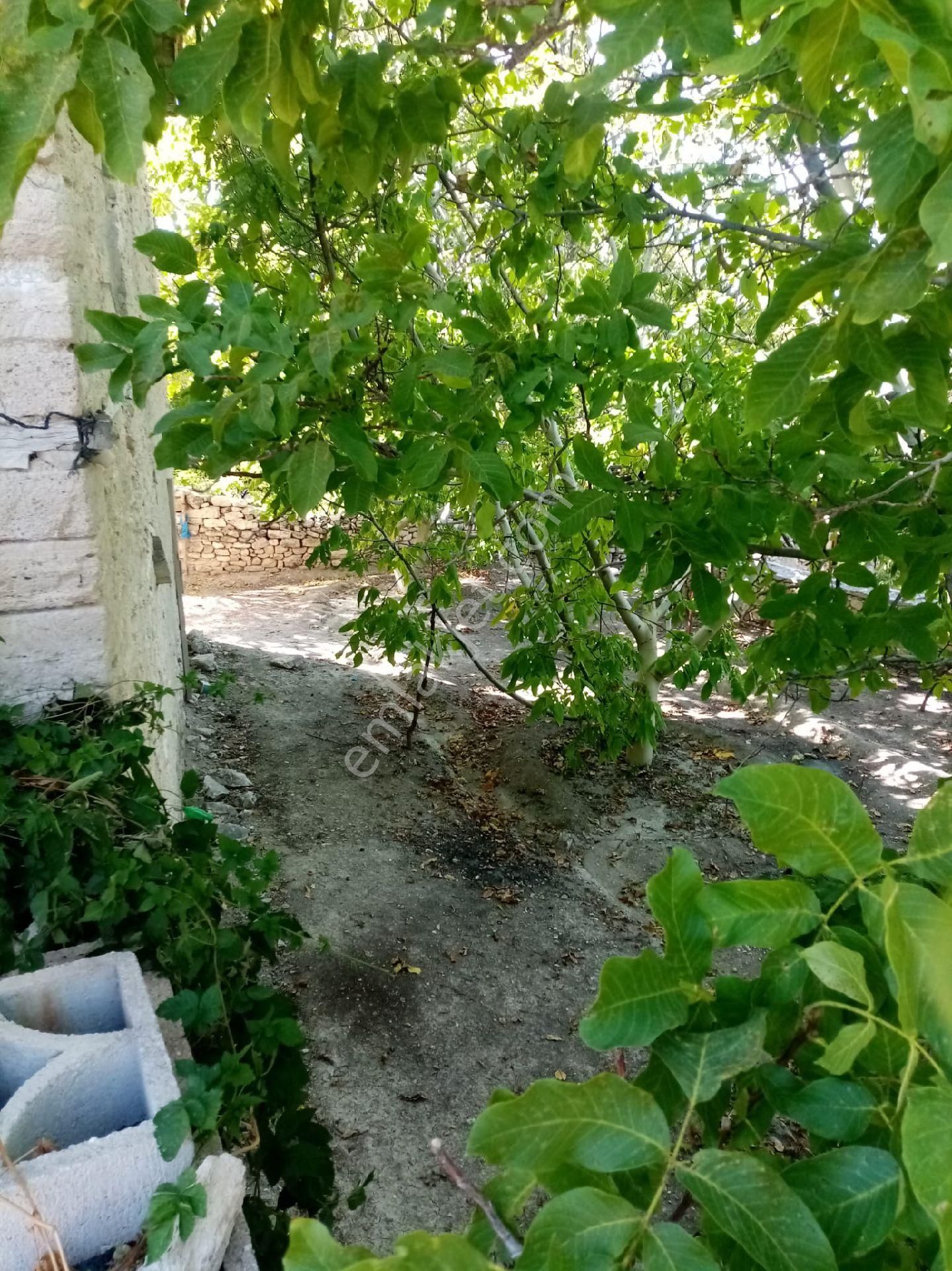 Wisrem Burdur'dan Satılık Müstakil Köy Evi - Görsel 6