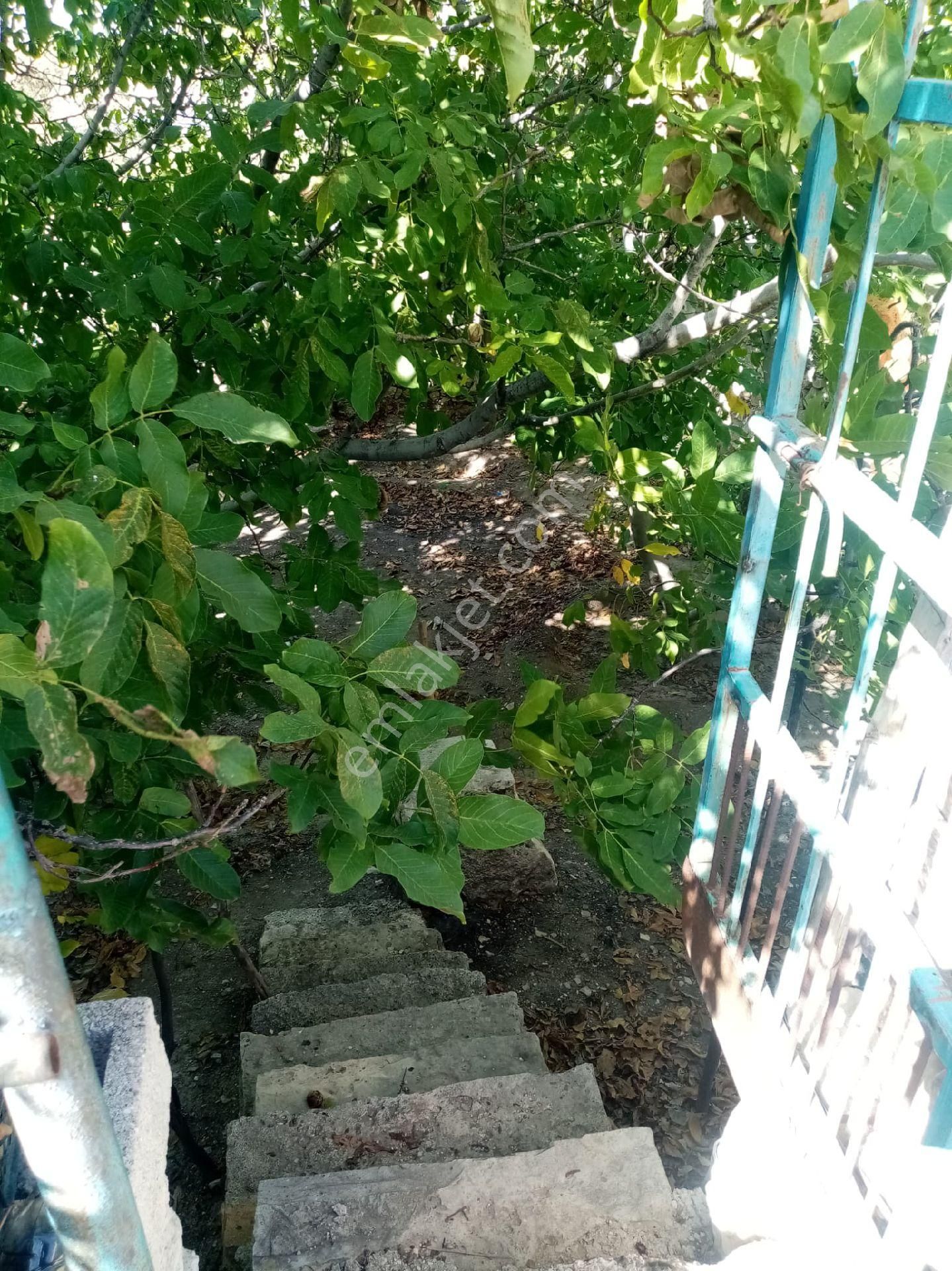 Wisrem Burdur'dan Satılık Müstakil Köy Evi - Görsel 11