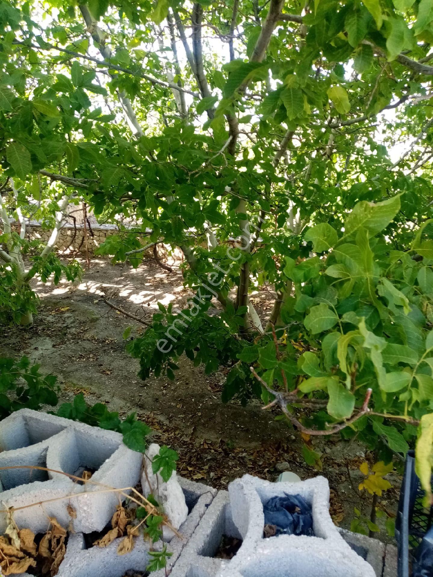 Wisrem Burdur'dan Satılık Müstakil Köy Evi - Görsel 10