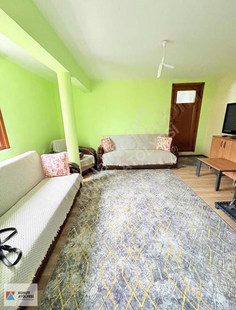 Kocaeli Derince 20.979 M² Ceviz Bahçesi Yatırımlık Tarım Arazisi - Görsel 20