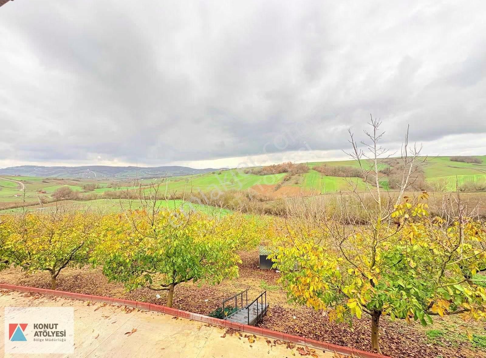 Kocaeli Derince 20.979 M² Ceviz Bahçesi Yatırımlık Tarım Arazisi - Görsel 24