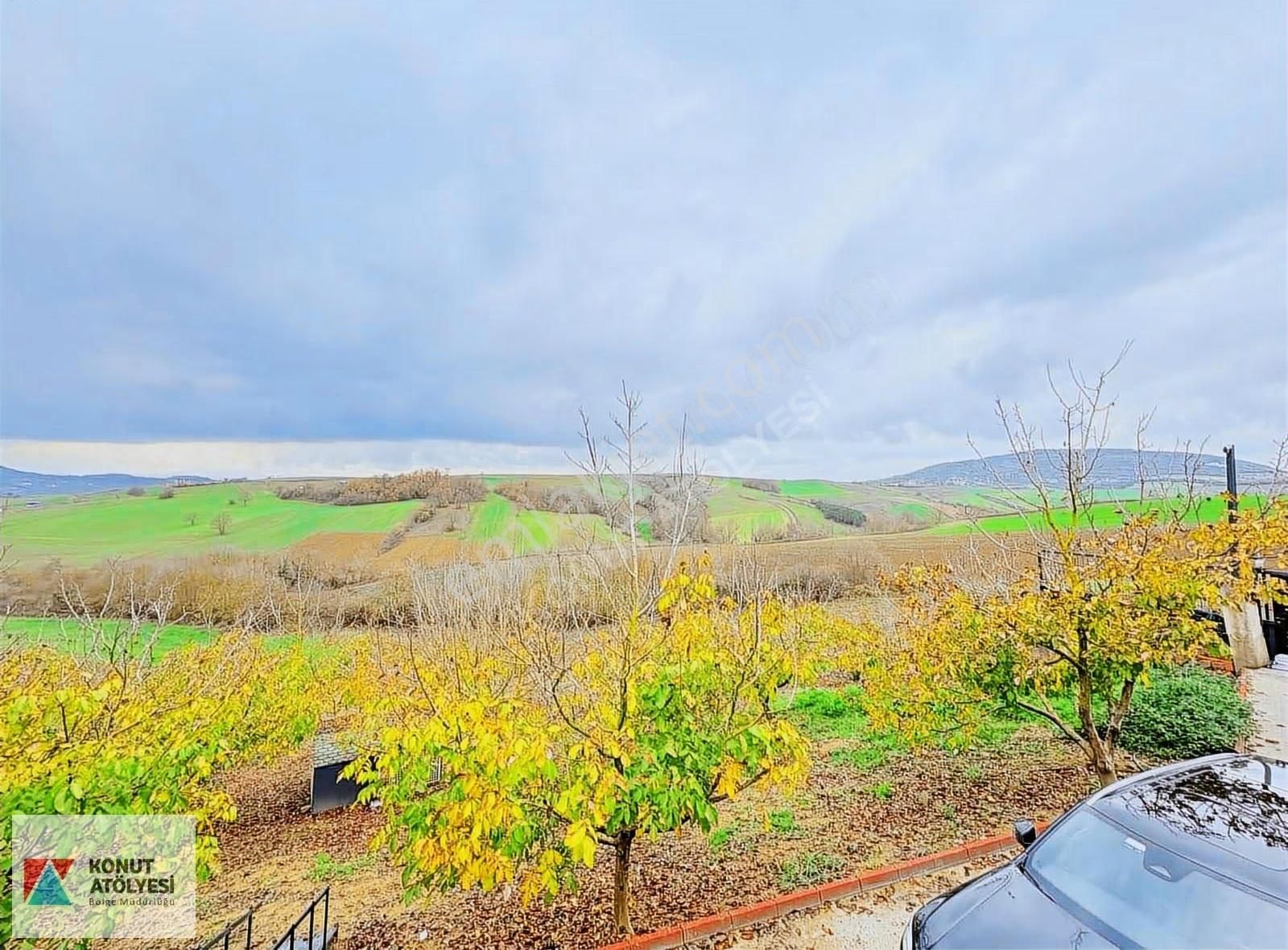 Kocaeli Derince 20.979 M² Ceviz Bahçesi Yatırımlık Tarım Arazisi - Görsel 10