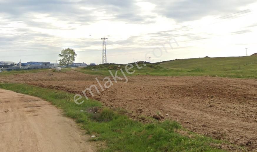 Pelitli'de 5.000 M2 İmalat + Depolamaya Uygun Sanayi İmarlı Arsa