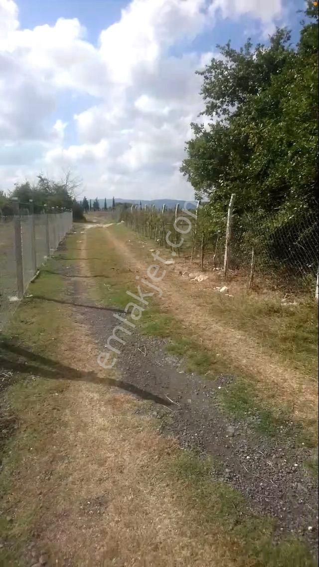 Tek Tapugökçeali Merkeze 5dk - Görsel 2