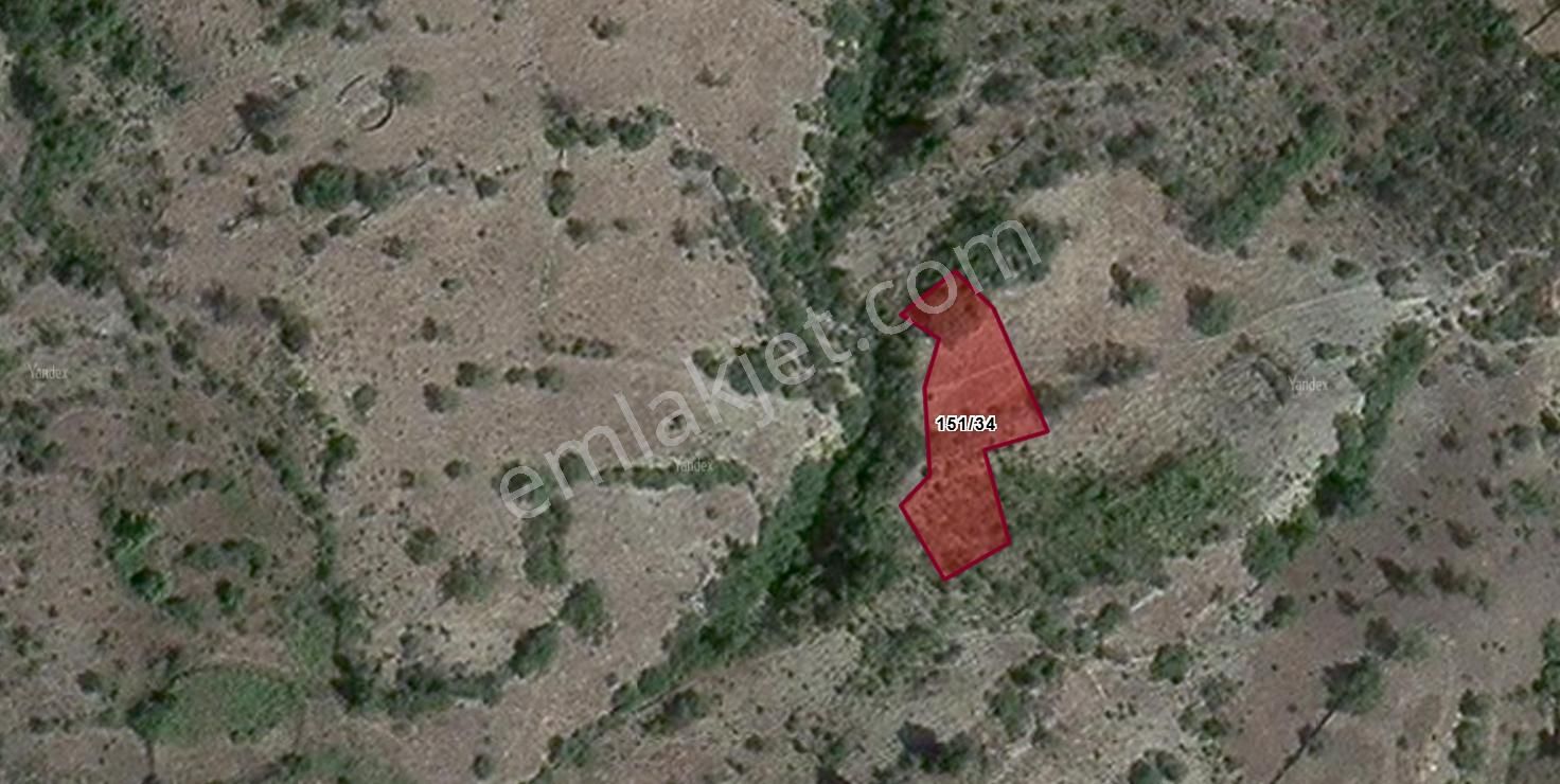 Gündoğmuş Balkaya Köyünde Satılık Tarla - Görsel 2