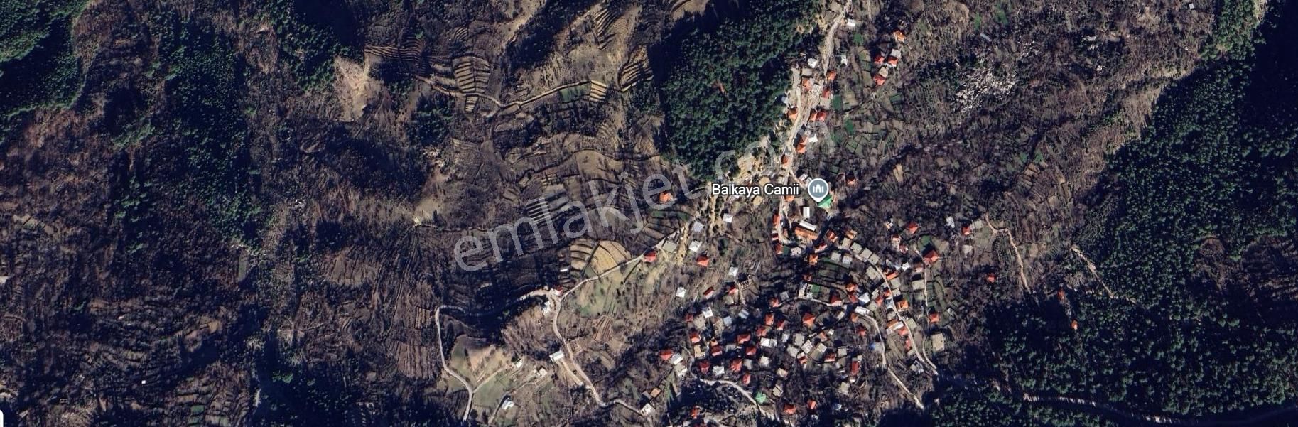 Gündoğmuş Balkaya Köyünde Satılık Tarla