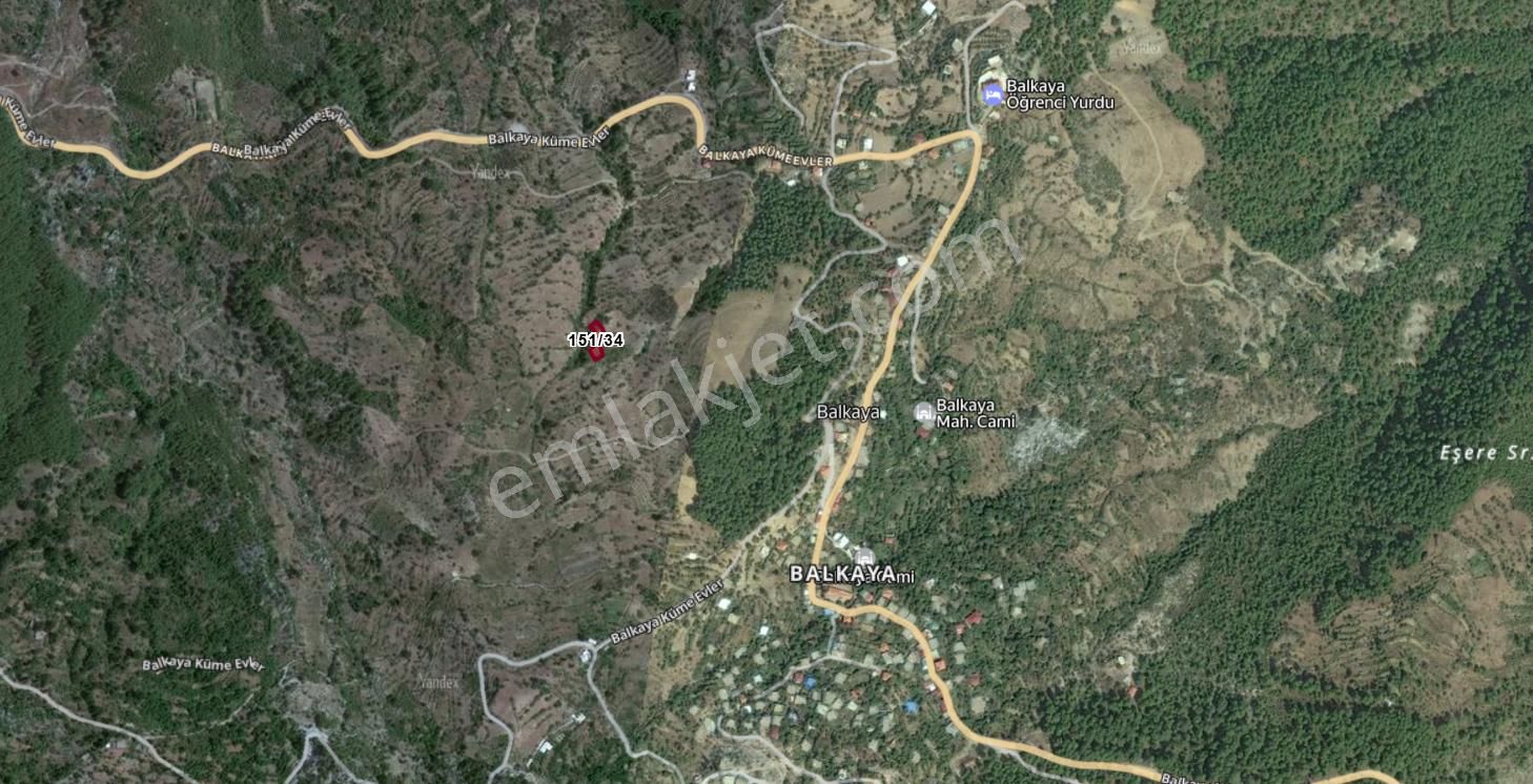 Gündoğmuş Balkaya Köyünde Satılık Tarla - Görsel 3