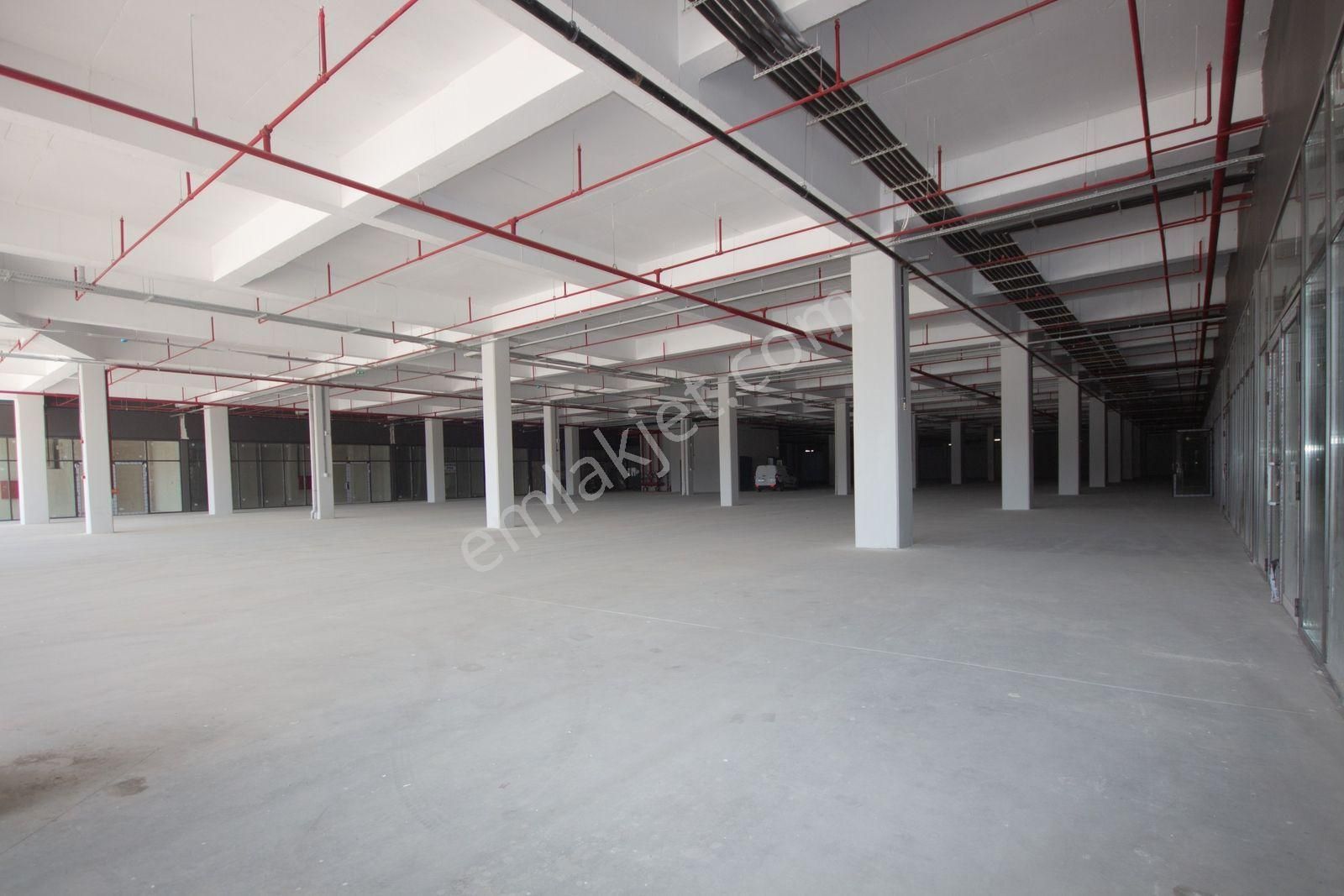 Fırsat Rakam! Vega Otonomi 'de Satılık Dükkan / Enbatı A.ş. - Görsel 5