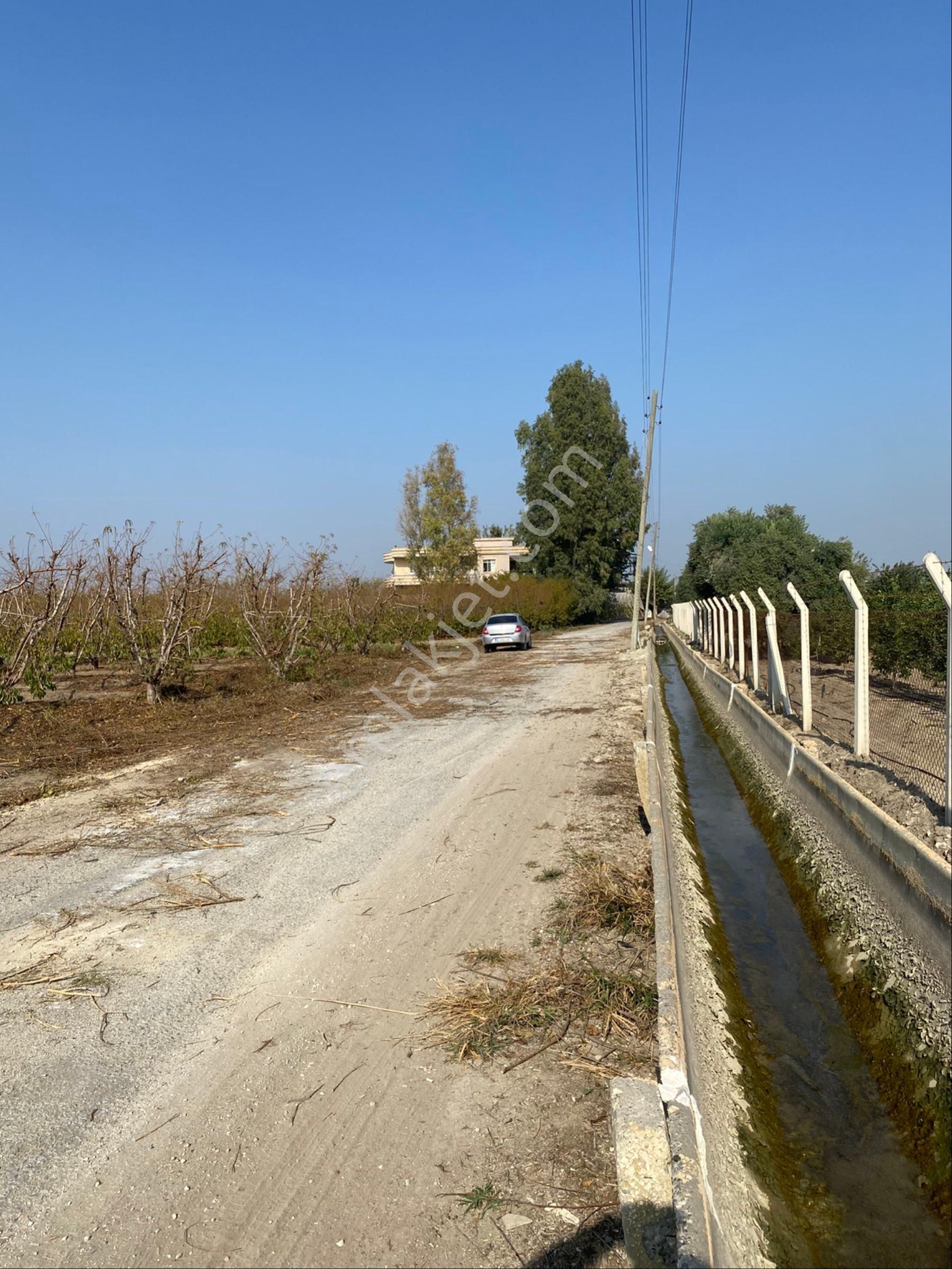 Atalar Köyünde Bulunan Şeftali Bahçemiz Satılıktır - Görsel 2