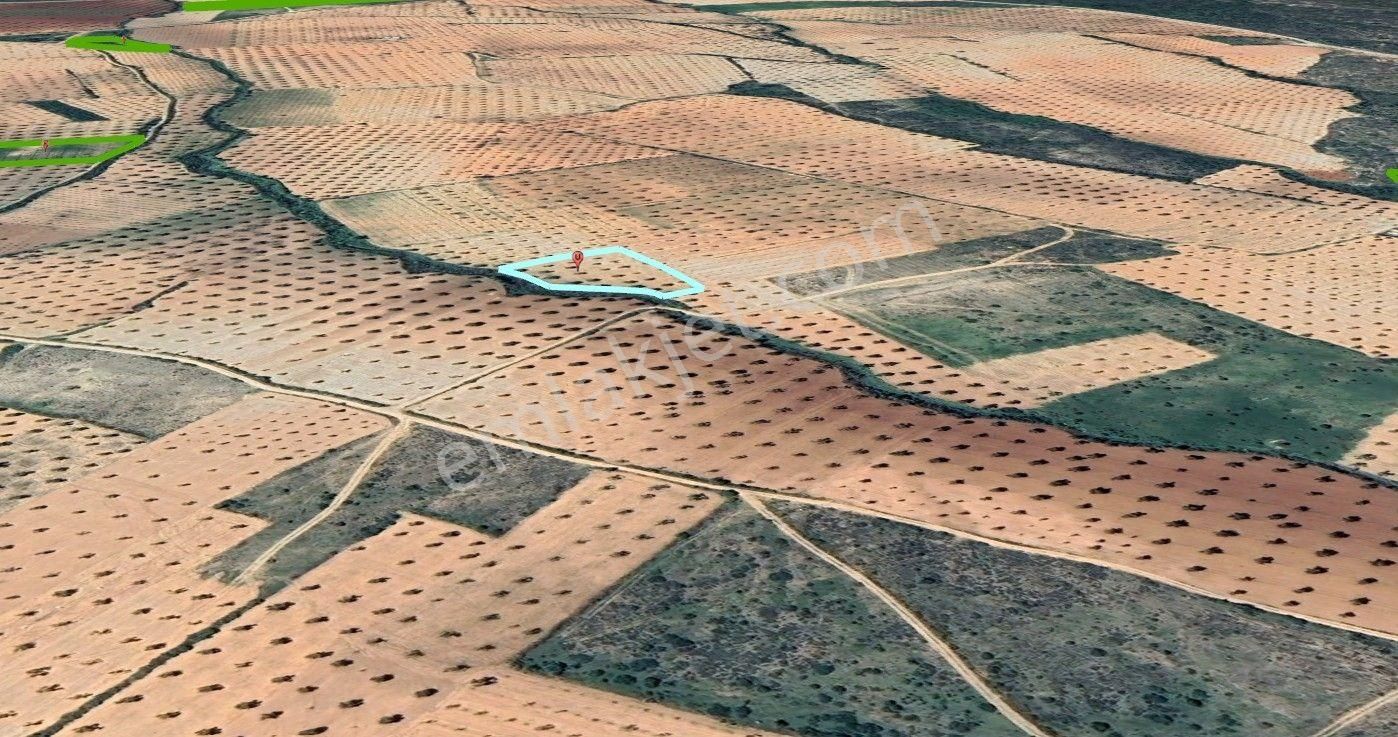 Uyaran 79 Gayrimenkul'den Demirışık'ta Satılık Tonluk Zeytin - Görsel 3