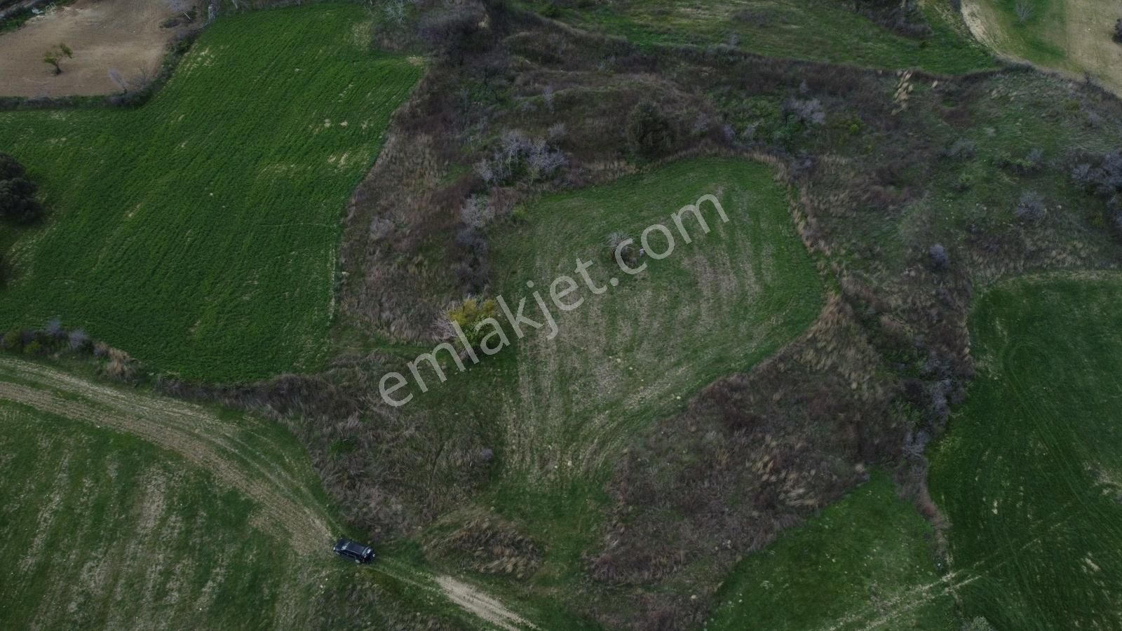 Çanakkale Merkez Ulupınar Köyünde Köye Yakın Tarla - Görsel 2