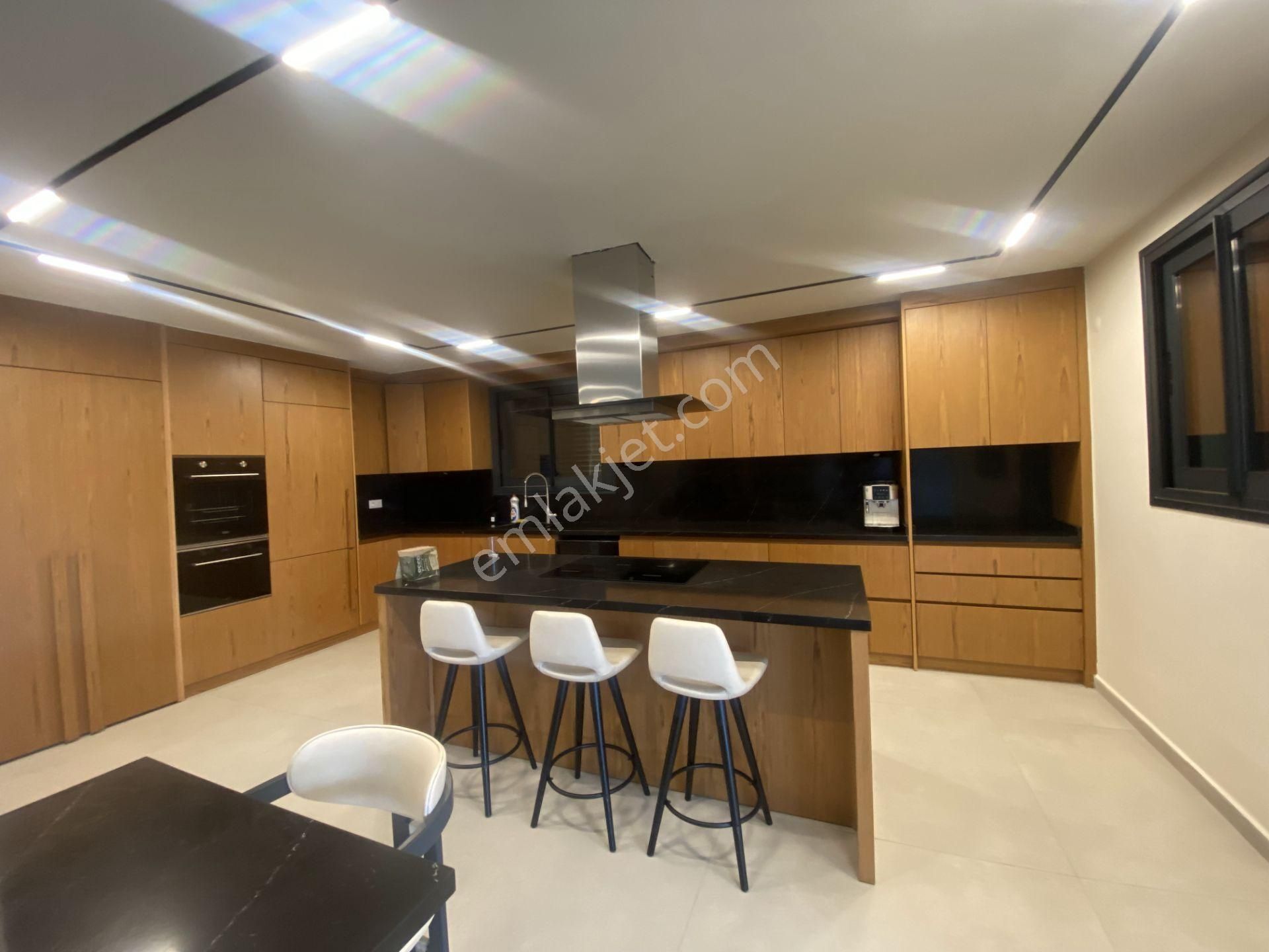 Balıkesir Burhaniye De Satılık Muhteşem Mustakil Villa - Görsel 12