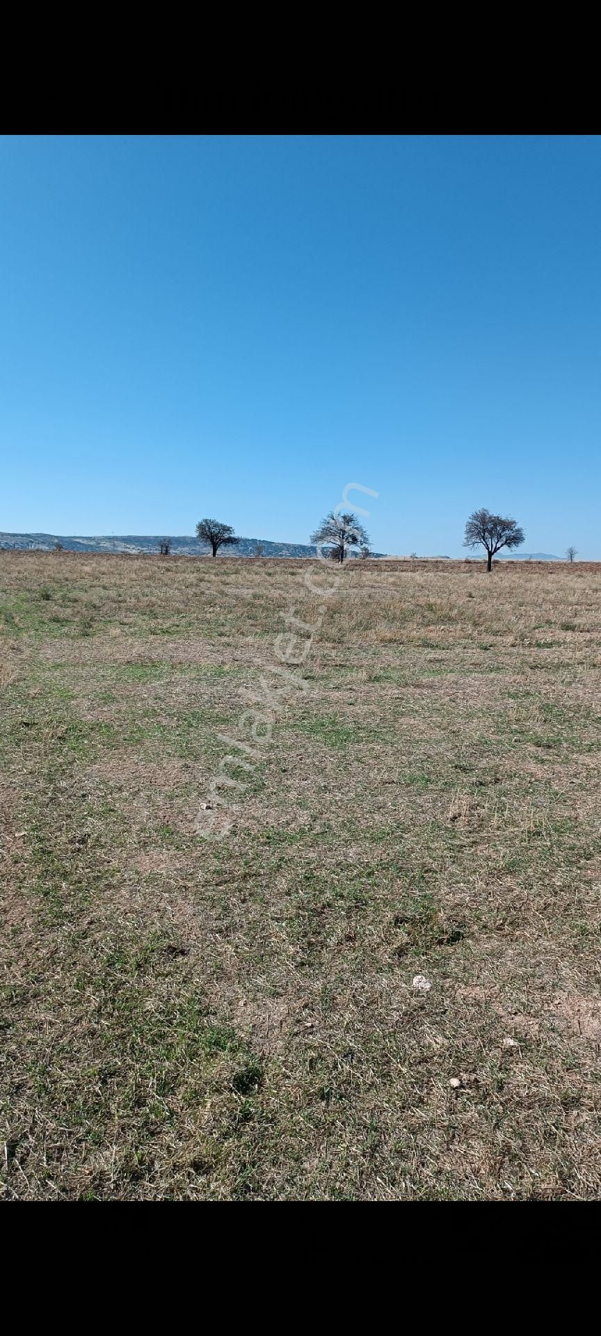 Wisrem Burdur'dan Satılık 43.300m² Tarla - Görsel 2