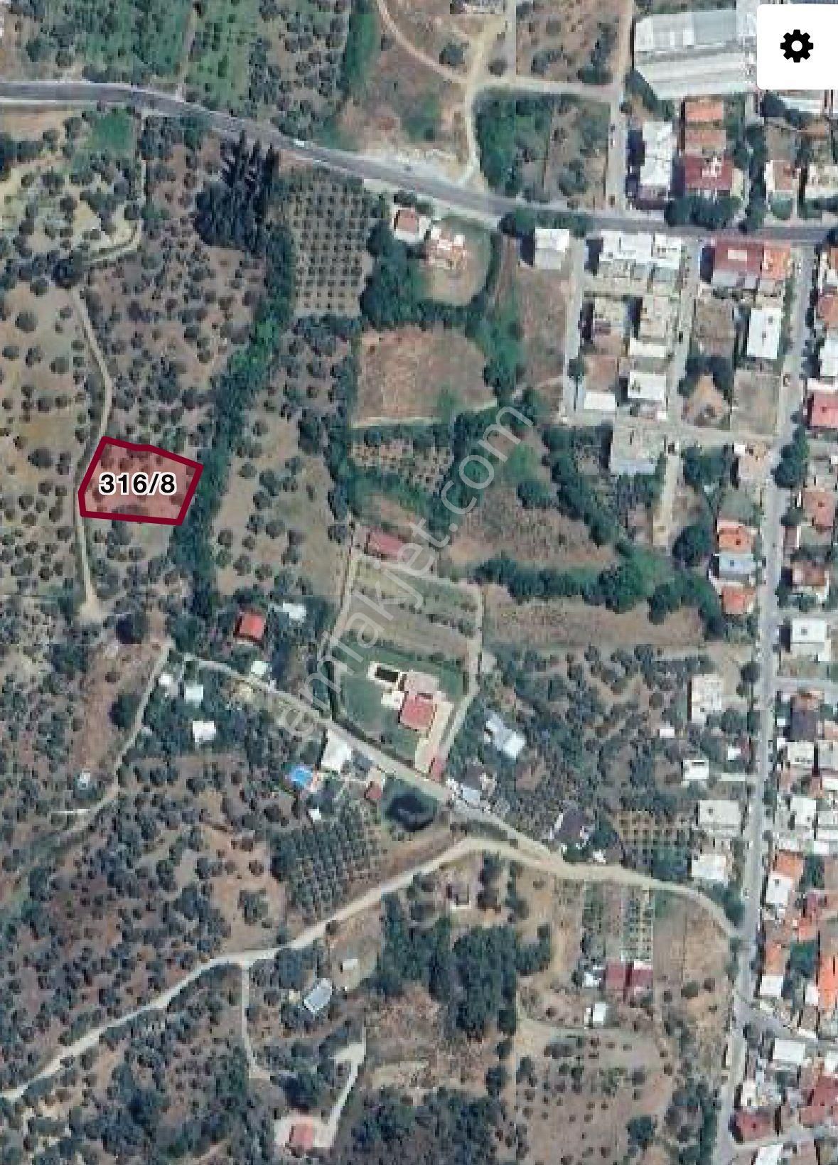 Kemalpaşa Merkezınde Tek Tapulu Satılık Yatırımlık Zeytınlık - Görsel 6