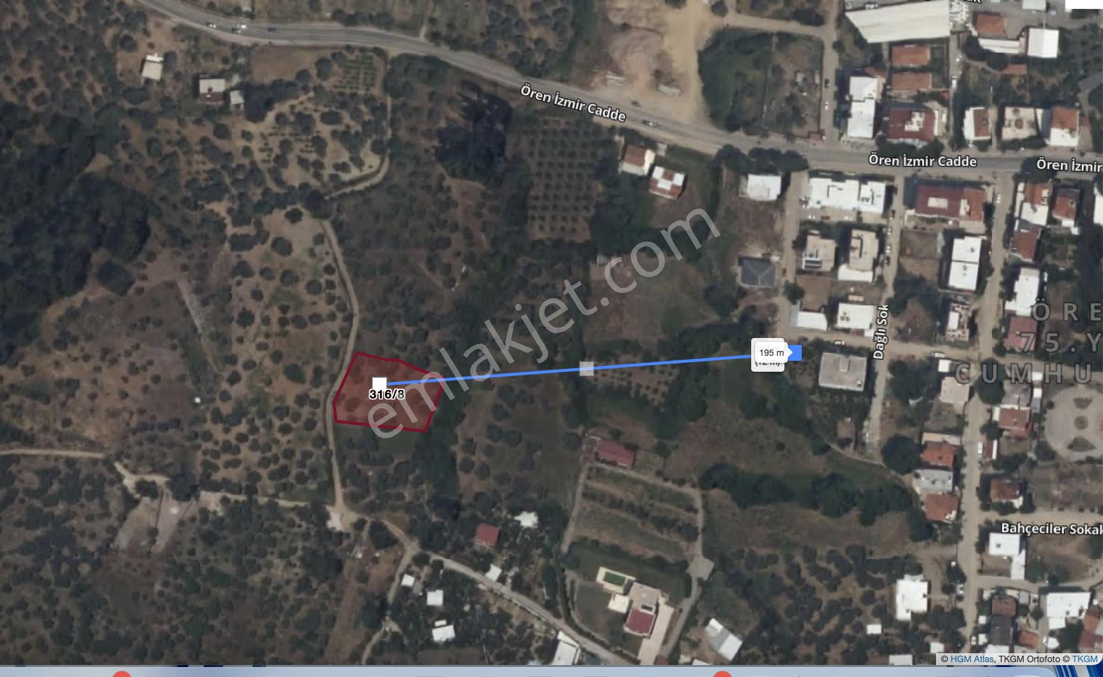 Kemalpaşa Merkezınde Tek Tapulu Satılık Yatırımlık Zeytınlık - Görsel 2