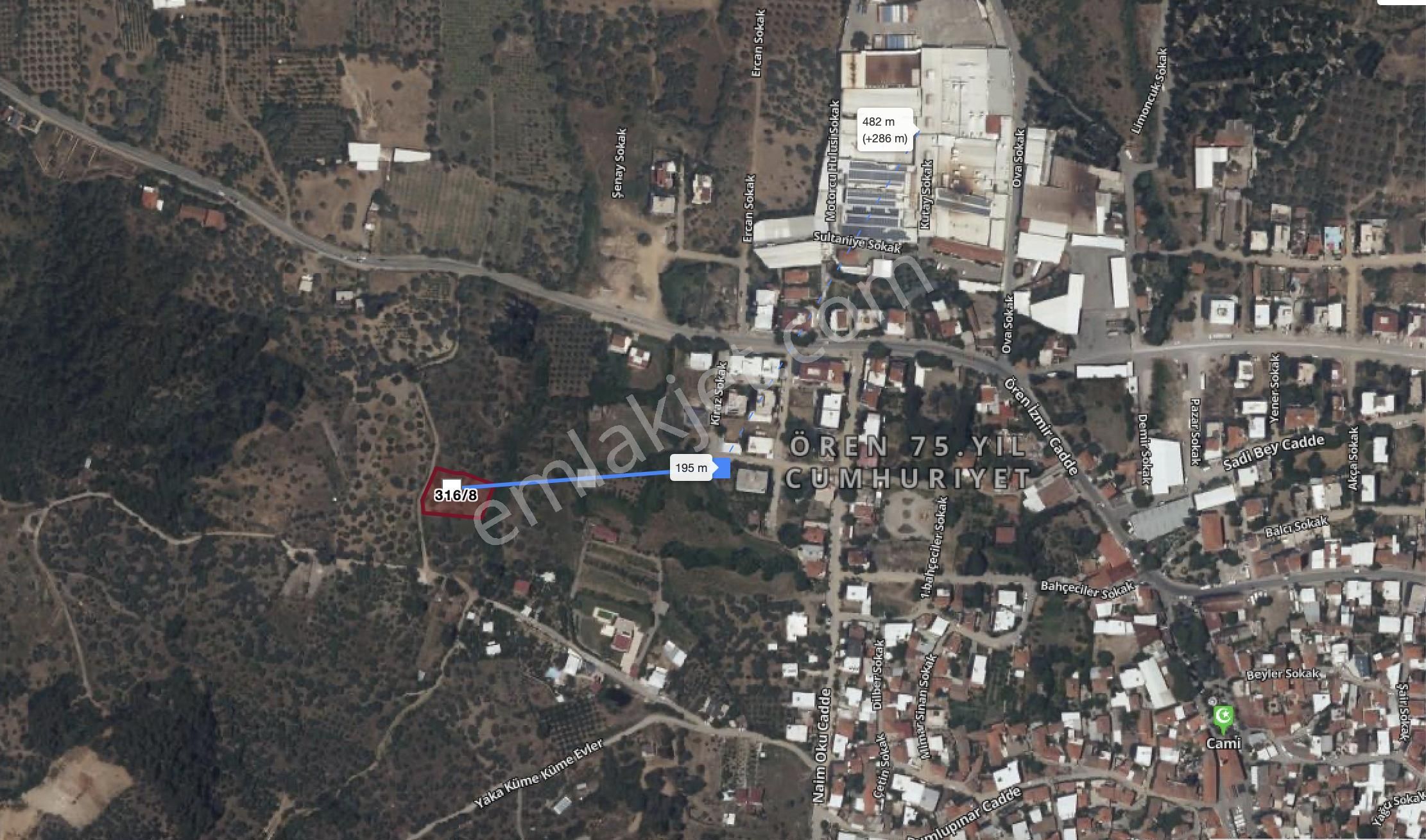 Kemalpaşa Merkezınde Tek Tapulu Satılık Yatırımlık Zeytınlık