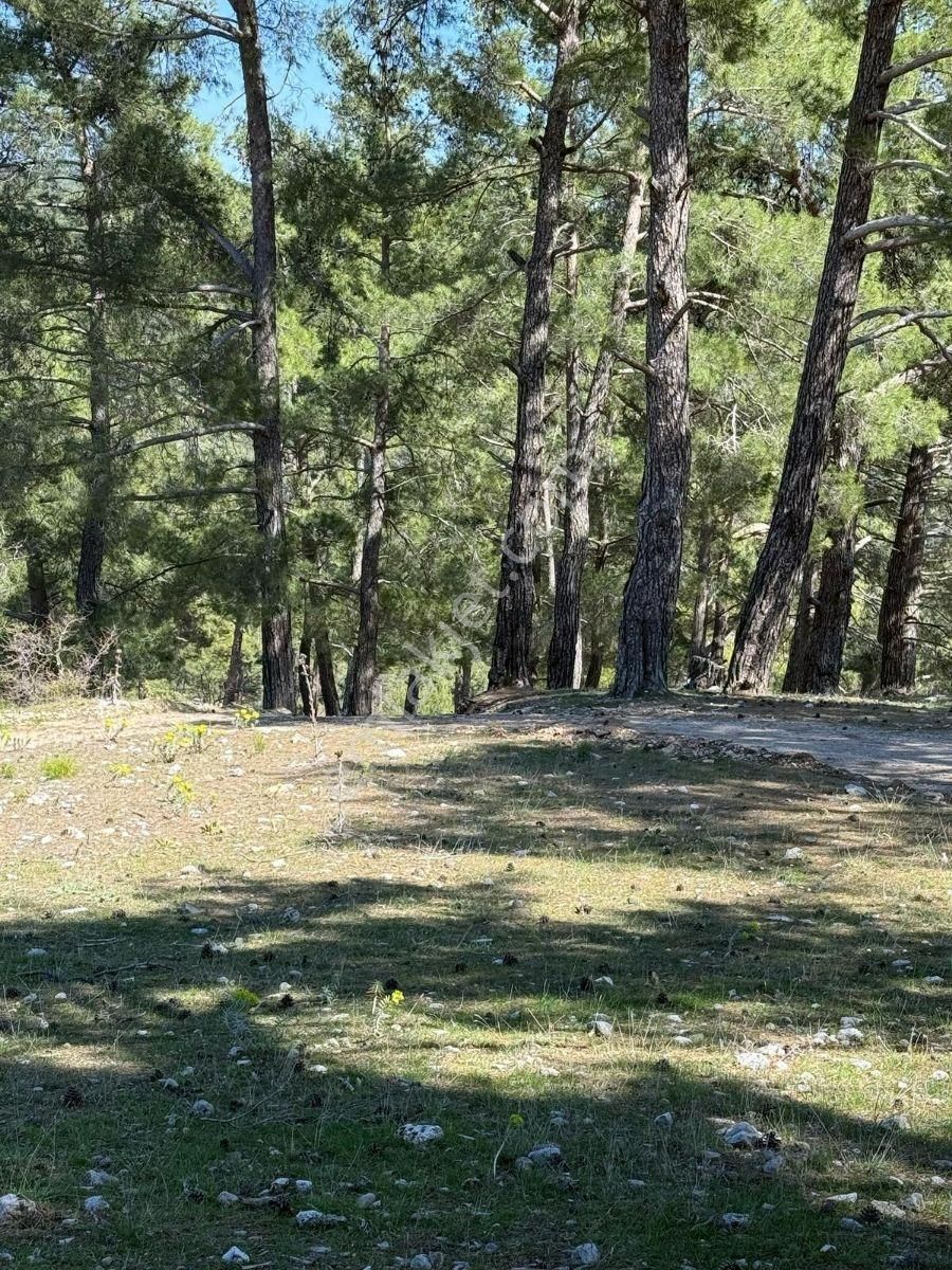 Muğla Menteşe Meke Mahallesinde 7.984 M² Satılık Tarla - Görsel 21