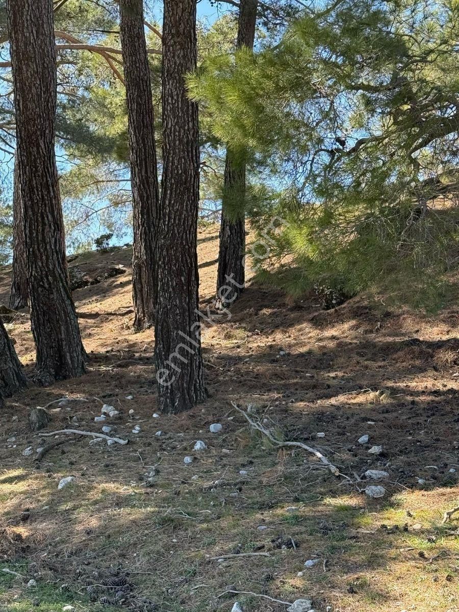 Muğla Menteşe Meke Mahallesinde 7.984 M² Satılık Tarla - Görsel 13