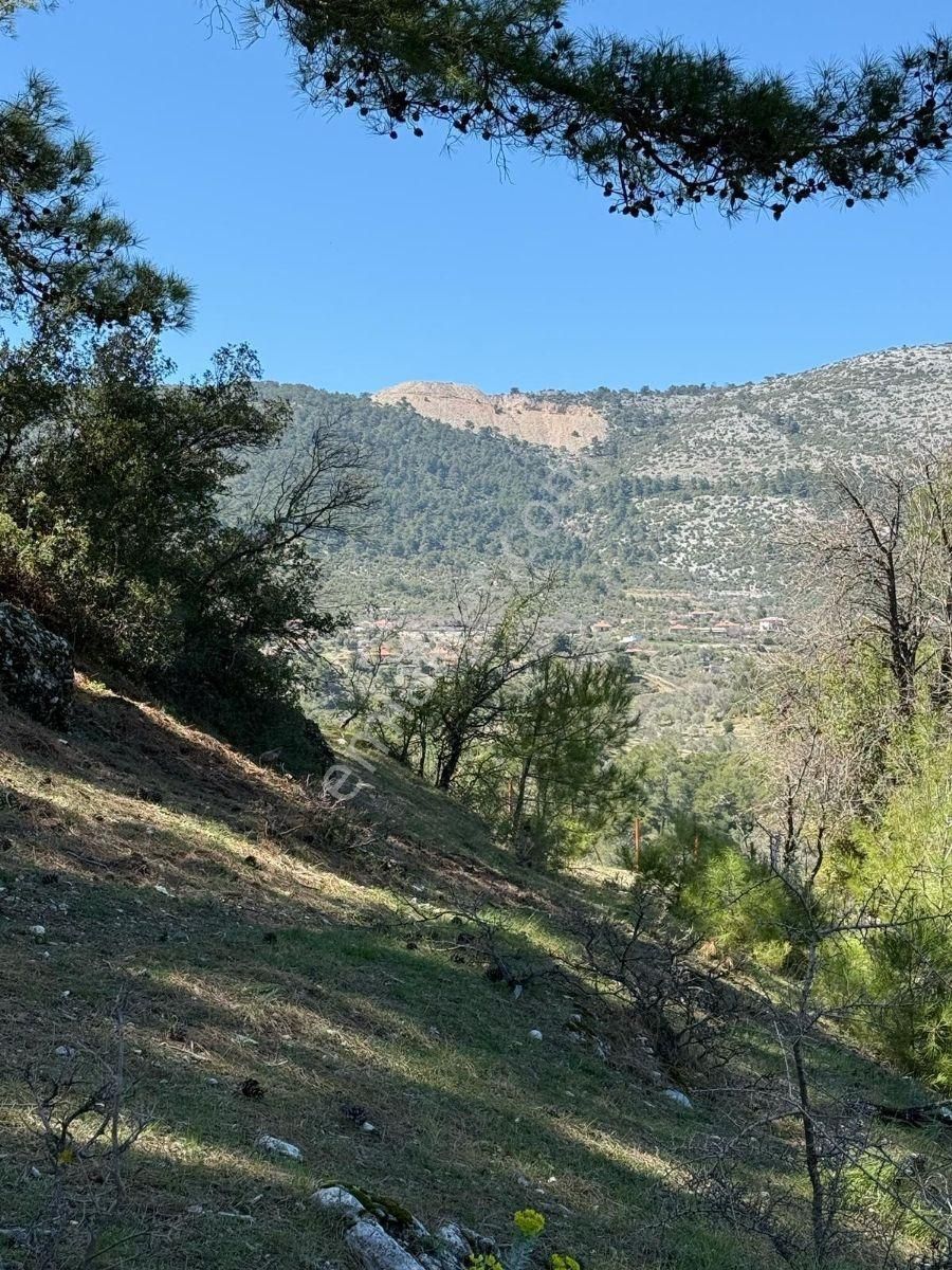 Muğla Menteşe Meke Mahallesinde 7.984 M² Satılık Tarla - Görsel 9