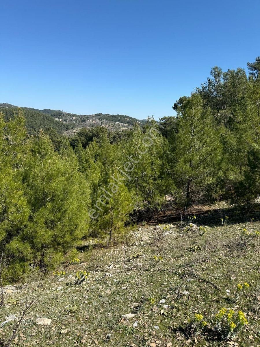 Muğla Menteşe Meke Mahallesinde 7.984 M² Satılık Tarla - Görsel 10