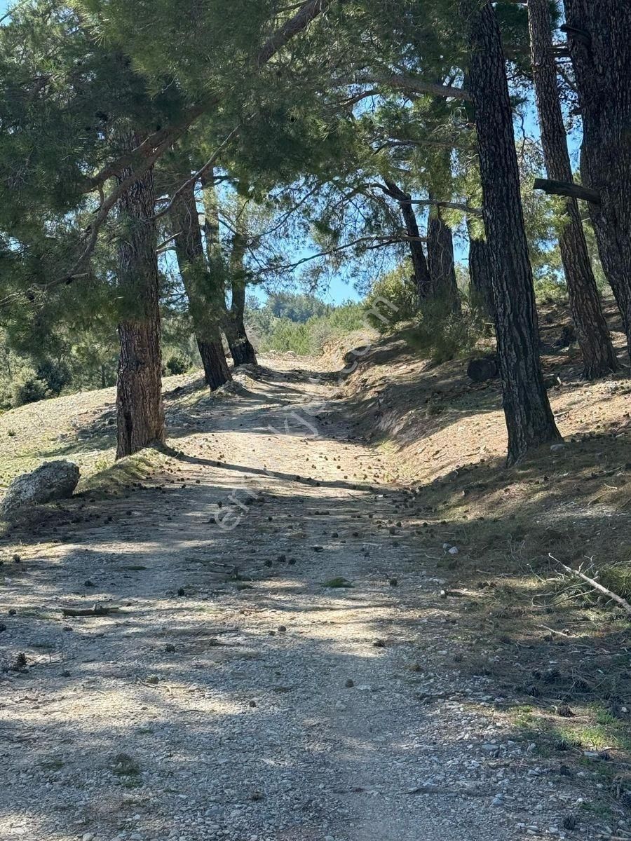 Muğla Menteşe Meke Mahallesinde 7.984 M² Satılık Tarla - Görsel 20