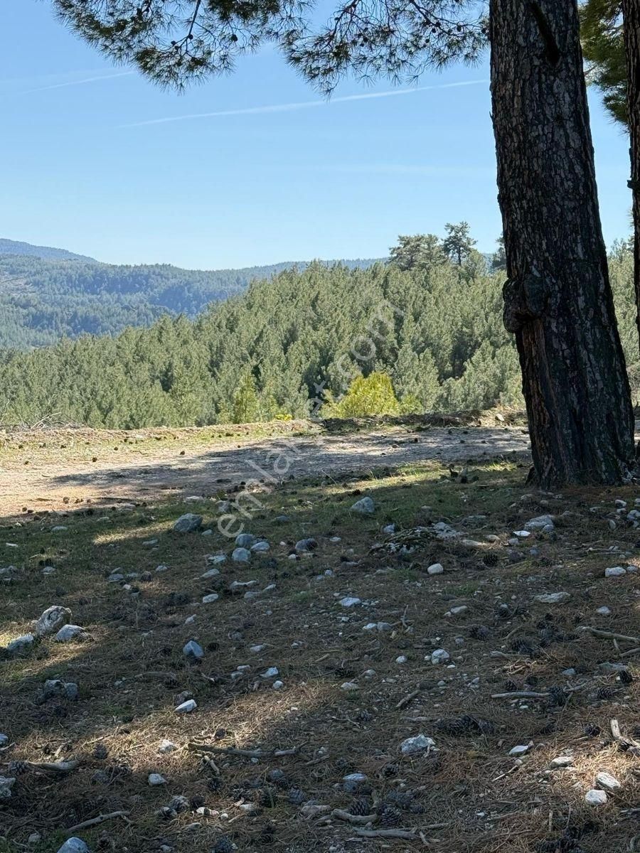 Muğla Menteşe Meke Mahallesinde 7.984 M² Satılık Tarla - Görsel 24