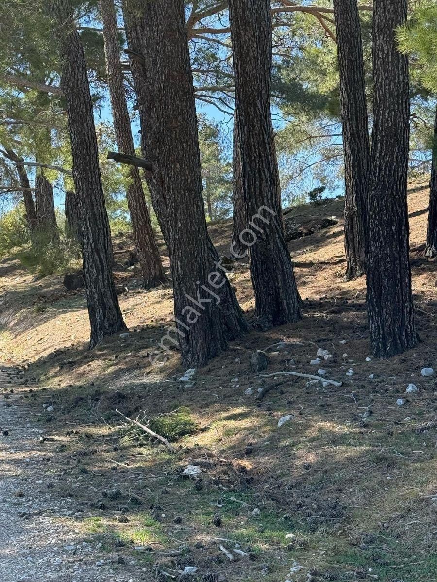 Muğla Menteşe Meke Mahallesinde 7.984 M² Satılık Tarla - Görsel 16